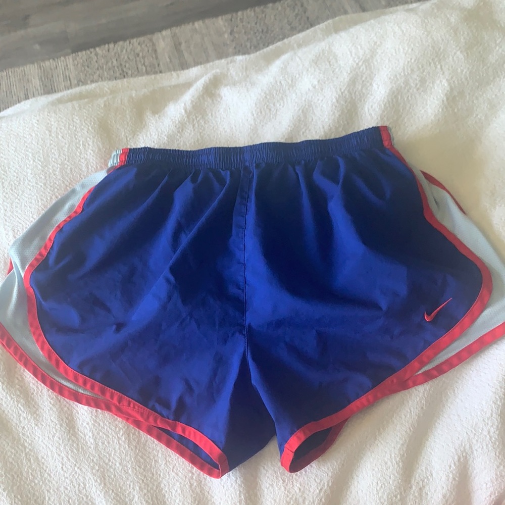 Nike Dri-fit track shorts